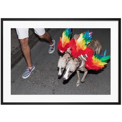 Democratic Gallery Poster Rainbow Dogs 21X30 Red 21X30 Democratic Gallery Poster Rainbow Dogs 21X30 Red 21X30