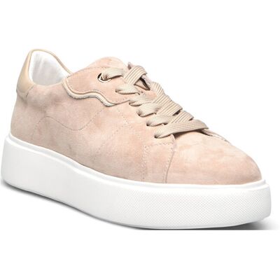 Dasia Ardisia 38 Beige 38 Dasia Ardisia 38 Beige 38