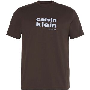 Calvin Ss 30S Whsl Ckj Jersey Graphic T S Brown S Calvin Ss 30S Whsl Ckj Jersey Graphic T S Brown S