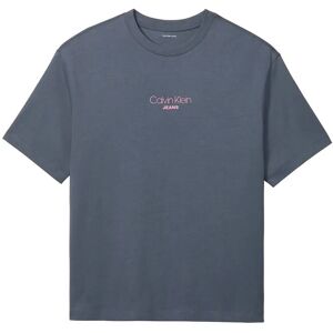 Calvin Ss 16S Rlxd Fit Ckj Graphic Tee L Grey L Calvin Ss 16S Rlxd Fit Ckj Graphic Tee L Grey L