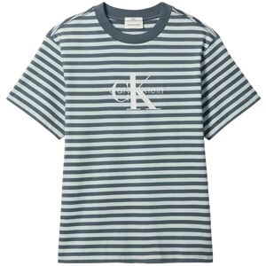Calvin Ss 20S Stripe Jersey Monologo Cn S Grey S Calvin Ss 20S Stripe Jersey Monologo Cn S Grey S