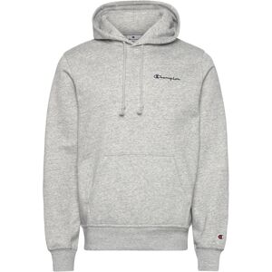 Champion Hooded Sweatshirt S Grey S Champion Hooded Sweatshirt S Grey S