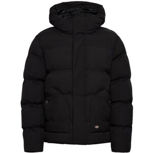 Dickies Eagleville Hooded Puffer XS Black XS Dickies Eagleville Hooded Puffer XS Black XS