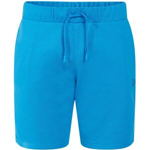 Didriksons Fejan Usx Shorts L Blue L Didriksons Fejan Usx Shorts L Blue L