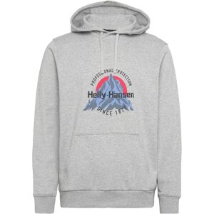 Helly Hansen Core Graphic Hoodie M Grey M Helly Hansen Core Graphic Hoodie M Grey M