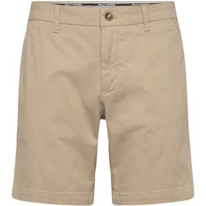 Helly Hansen Bryggen Chino Shorts 36 Beige 36 Helly Hansen Bryggen Chino Shorts 36 Beige 36
