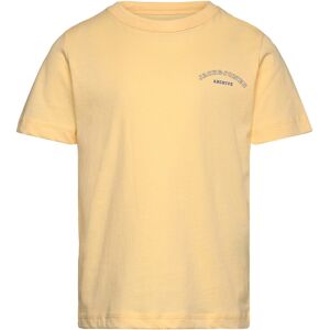 Jack & Jones Jjcollege Logo Tee Ss Crew Neck Mni 116 Yellow 116 Jack & Jones Jjcollege Logo Tee Ss Crew Neck Mni 116 Yellow 116