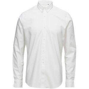 Matinique Jude S White S Matinique Jude S White S
