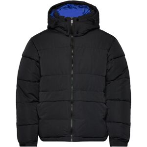 SIXTH JUNE Essentiel Puff Printed Downjkt S Black S SIXTH JUNE Essentiel Puff Printed Downjkt S Black S