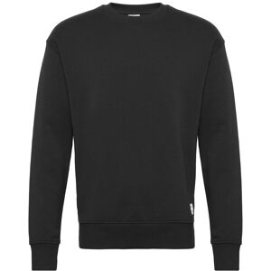 Solid Lenz Sweatshirt - True Black - Casual - Sweatshirt Solid Lenz Sweatshirt - True Black - Casual - Sweatshirt