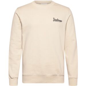Solid Sdtorrence S Cream S Solid Sdtorrence S Cream S