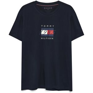 Tommy Hilfiger Linear Flag Graphic Tee S Navy S Tommy Hilfiger Linear Flag Graphic Tee S Navy S