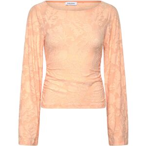 Bubbleroom Structure Top S Coral S Bubbleroom Structure Top S Coral S