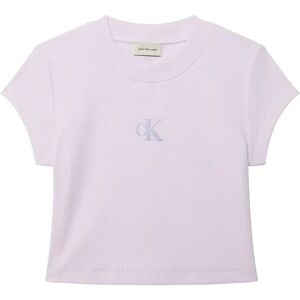 Calvin Monologo Baby Rib Tee M Purple M Calvin Monologo Baby Rib Tee M Purple M