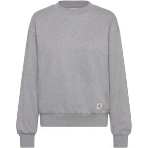Calvin A- Ls Badge Logo Terry Crew Nk S Grey S Calvin A- Ls Badge Logo Terry Crew Nk S Grey S