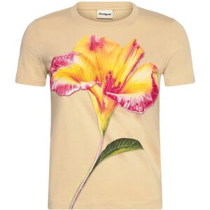 Desigual Ts_Estocolmo S Beige S Desigual Ts_Estocolmo S Beige S