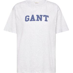 Gant Graphic Ss T-Shirt M Grey M Gant Graphic Ss T-Shirt M Grey M