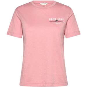 Gant Reg Graphic Ss T-Shirt XS Pink XS Gant Reg Graphic Ss T-Shirt XS Pink XS
