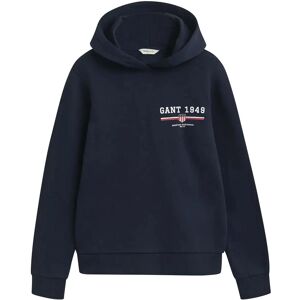 Gant Reg Graphic Hoodie S Navy S Gant Reg Graphic Hoodie S Navy S