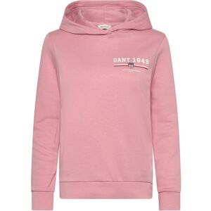 Gant Reg Graphic Hoodie L Pink L Gant Reg Graphic Hoodie L Pink L