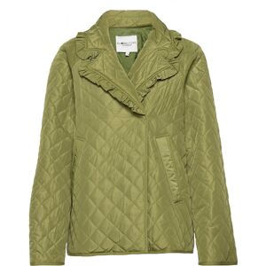 Global G-Robins XS Green XS Global G-Robins XS Green XS