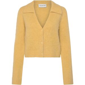 Munthe Roxas 40 Yellow 40 Munthe Roxas 40 Yellow 40
