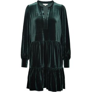 Part Two Viggasepw Short Dr S Green S Part Two Viggasepw Short Dr S Green S
