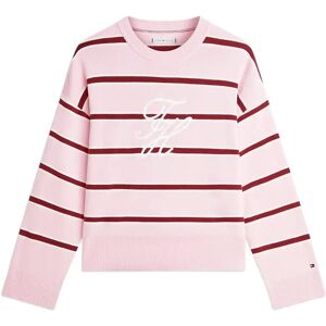 Tommy Hilfiger Full Needle Graphic Sweater XL Pink XL Tommy Hilfiger Full Needle Graphic Sweater XL Pink XL