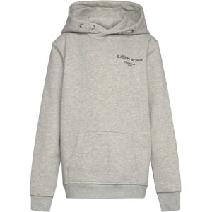 Björn Borg Borg Essential 1 Hoodie 110-116 Grey 110-116 Björn Borg Borg Essential 1 Hoodie 110-116 Grey 110-116