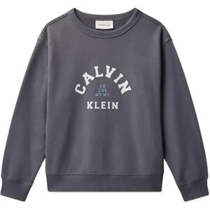 Calvin Varsity Cn Sweatshirt 164 Grey 164 Calvin Varsity Cn Sweatshirt 164 Grey 164
