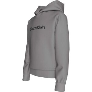Calvin Inst. Logo Reg. Terry Hoodie 128 Grey 128 Calvin Inst. Logo Reg. Terry Hoodie 128 Grey 128