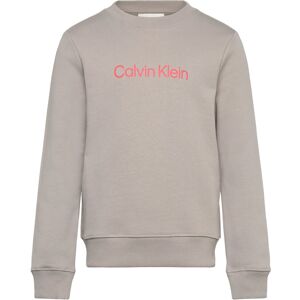 Calvin Inst. Logo Regular Cn 140 Beige 140 Calvin Inst. Logo Regular Cn 140 Beige 140