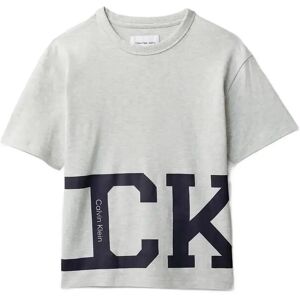 Calvin Varsity Ss T-Shirt 116 Grey 116 Calvin Varsity Ss T-Shirt 116 Grey 116