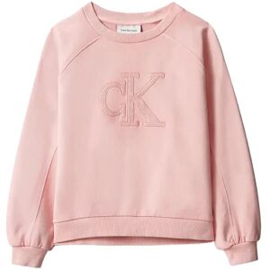 Calvin Ck Logo Sweatshirt 170 Pink 170 Calvin Ck Logo Sweatshirt 170 Pink 170