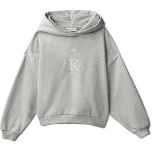 Calvin Ck Hooded Sweatshirt 116 Grey 116 Calvin Ck Hooded Sweatshirt 116 Grey 116