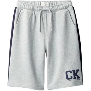 Calvin Varsity Relaxed Shorts 116 Grey 116 Calvin Varsity Relaxed Shorts 116 Grey 116