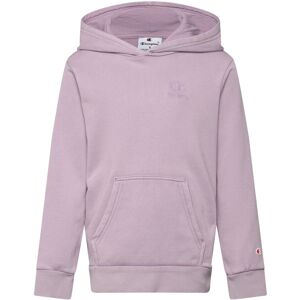 Champion Hooded Sweatshirt 138-143 Pink 138-143 Champion Hooded Sweatshirt 138-143 Pink 138-143