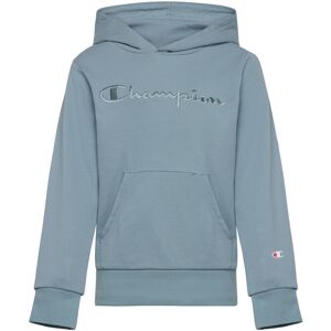 Champion Hooded Sweatshirt 138-143 Blue 138-143 Champion Hooded Sweatshirt 138-143 Blue 138-143