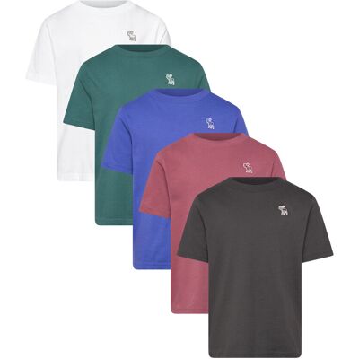 Abercrombie Kids Ty-5Pk Tees 132/140 Patterned 132/140 Abercrombie Kids Ty-5Pk Tees 132/140 Patterned 132/140