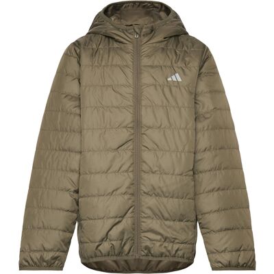 adidas Sportswear J Ess L Pad Jkt 140 Khaki 140 adidas Sportswear J Ess L Pad Jkt 140 Khaki 140