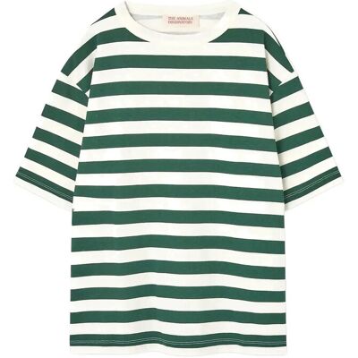 THE ANIMALS OBSERVATORY Stripes Freen Collie T-Shirt 6 Y Green 6 Y THE ANIMALS OBSERVATORY Stripes Freen Collie T-Shirt 6 Y Green 6 Y