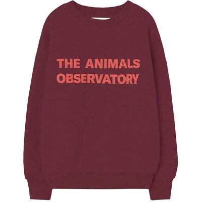 THE ANIMALS OBSERVATORY Browned Farnet Leo Sweatshirt 4 Y Burgundy 4 Y THE ANIMALS OBSERVATORY Browned Farnet Leo Sweatshirt 4 Y Burgundy 4 Y