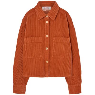 THE ANIMALS OBSERVATORY Fif Red Beabull Shirt 6 Y Orange 6 Y THE ANIMALS OBSERVATORY Fif Red Beabull Shirt 6 Y Orange 6 Y