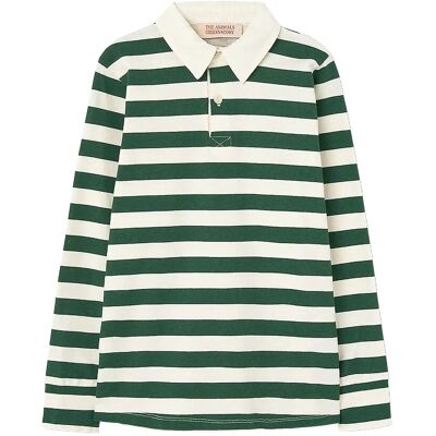 THE ANIMALS OBSERVATORY Stripes Freen Eel Polo Shirt 6 Y Green 6 Y THE ANIMALS OBSERVATORY Stripes Freen Eel Polo Shirt 6 Y Green 6 Y