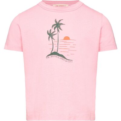 THE ANIMALS OBSERVATORY Big Rooster Kid T-Shirt Pink 10Y 6 Y Pink 6 Y THE ANIMALS OBSERVATORY Big Rooster Kid T-Shirt Pink 10Y 6 Y Pink 6 Y