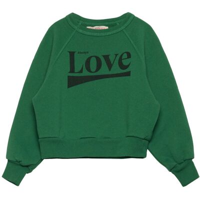 THE ANIMALS OBSERVATORY Shark Kid Sweatshirt Green 6 Y Green 6 Y THE ANIMALS OBSERVATORY Shark Kid Sweatshirt Green 6 Y Green 6 Y