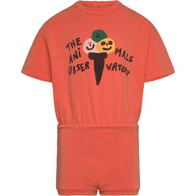 THE ANIMALS OBSERVATORY Koala Kid Body Salmon 6 Y Orange 6 Y THE ANIMALS OBSERVATORY Koala Kid Body Salmon 6 Y Orange 6 Y