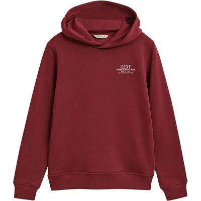 Gant Graphic Hoodie 134-140 Patterned 134-140 Gant Graphic Hoodie 134-140 Patterned 134-140