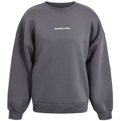 Hound Sweatshirt 16 y Grey 16 y Hound Sweatshirt 16 y Grey 16 y