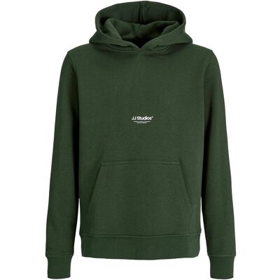 Jack & Jones Jjesoho Sweat Hood Noos Jnr 140 Green 140 Jack & Jones Jjesoho Sweat Hood Noos Jnr 140 Green 140